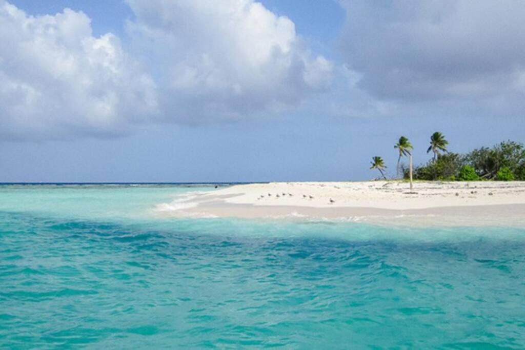 La Costa View Διαμέρισμα Ceiba Εξωτερικό φωτογραφία